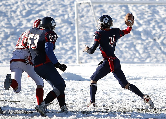 弗里克在比 弗里克在比