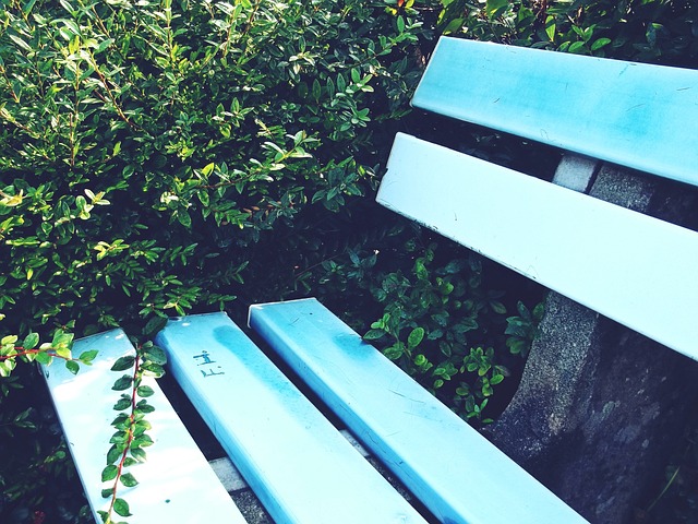 与侧重个人 与侧重个人