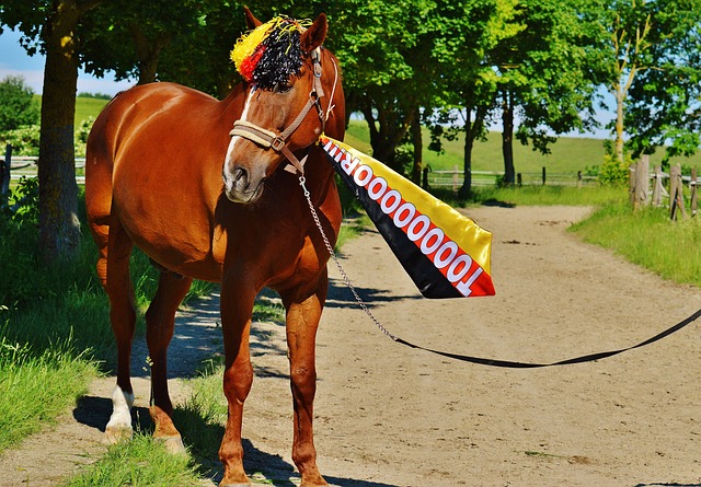 的一大趋势 的一大趋势
