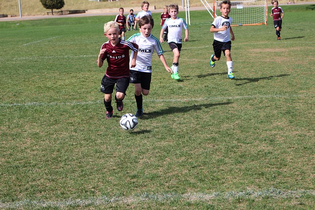 又称葡超 又称葡超